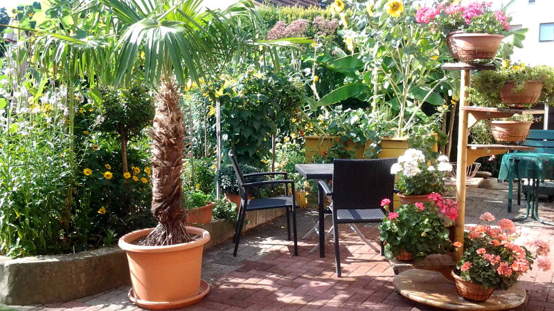 Dresden Zimmervermietung Wachs: Sitzmöglichkeit im Freien