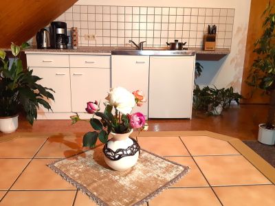 Ferienwohnung Kochmöglichkeit